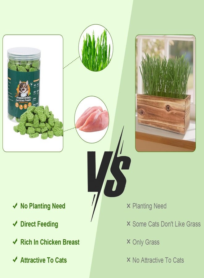 SuPruida 80g Cat Grass Treats for Indoor Cats, Freezed Drying Cat Grass Teething Stick for Hairball Remove Treatment Teeth Cleaning and Dental Care, Edible Kitty Chew Toy Snack - Image 4